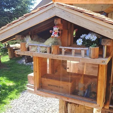 Σπίτι διακοπών Saentis Chalet Chnorz