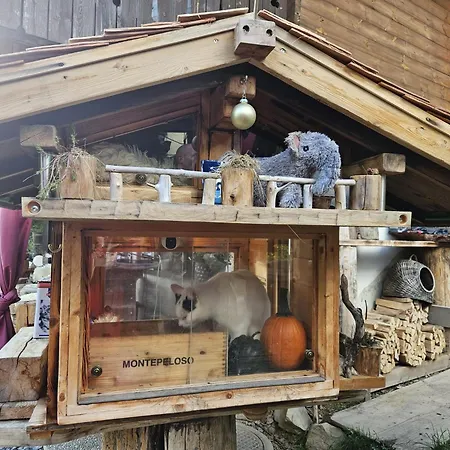 بيت للعطل Saentis Chalet Chnorz