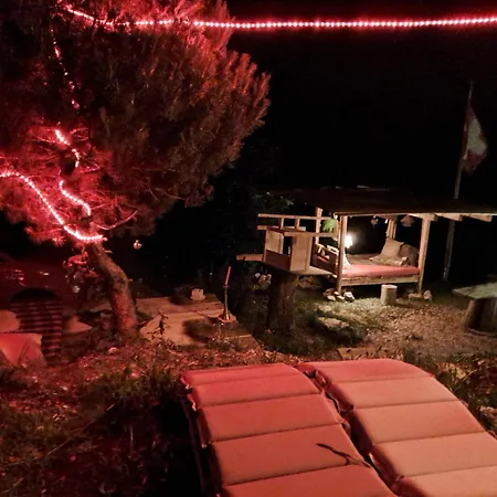 Ib Saentis Chnorz Entire House Nesslau