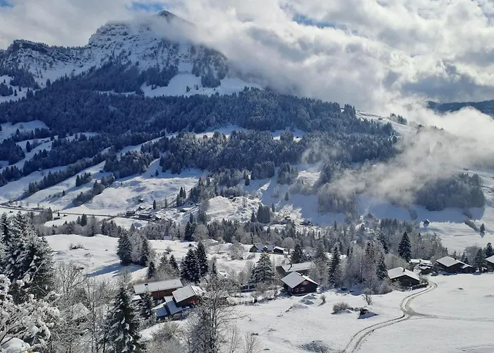 Ib Saentis Chnorz Entire House * Nesslau