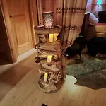 Ib Saentis Chnorz Entire House Prázdninový dům Nesslau